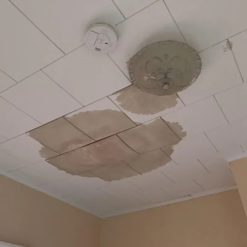Ceiling Water Damage Repair in Lampasas County, TX