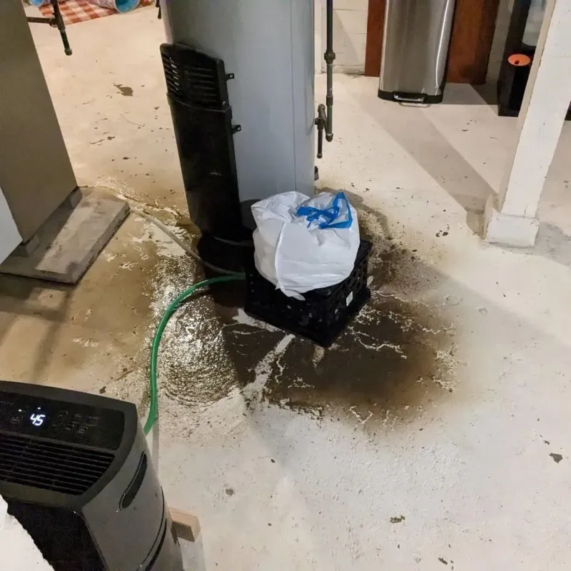 Sewage Backup Cleanup Service in Lampasas County, TX